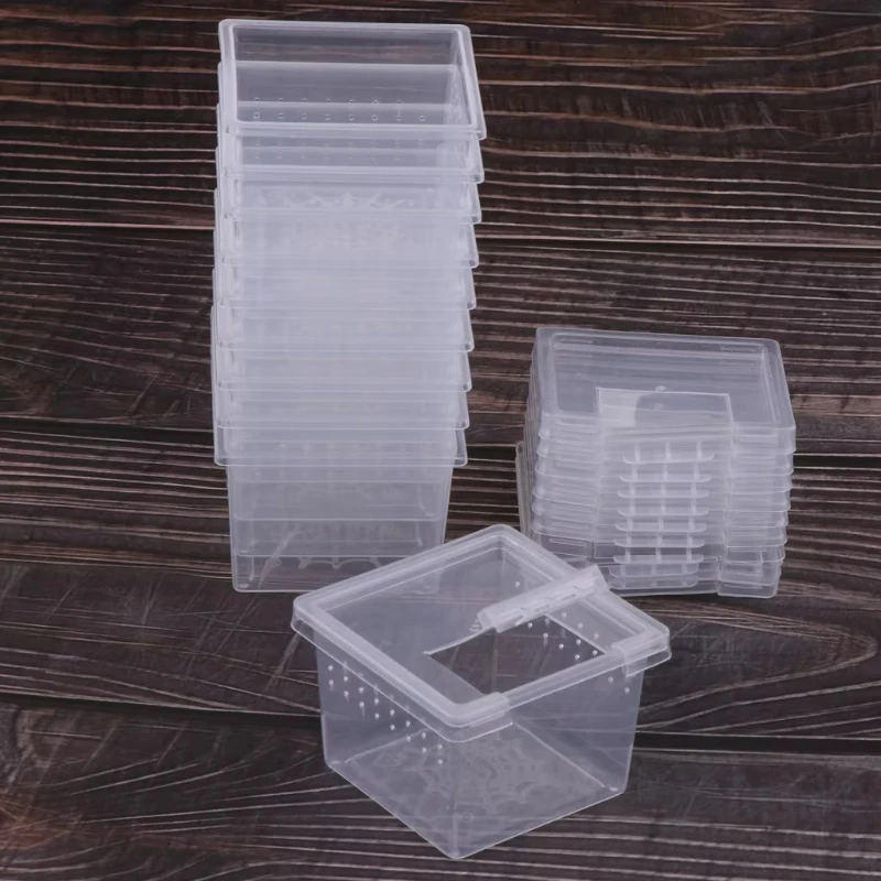 10-Futterbox für Reptilienkäfi – Lab Incubator Bewertung und Preis