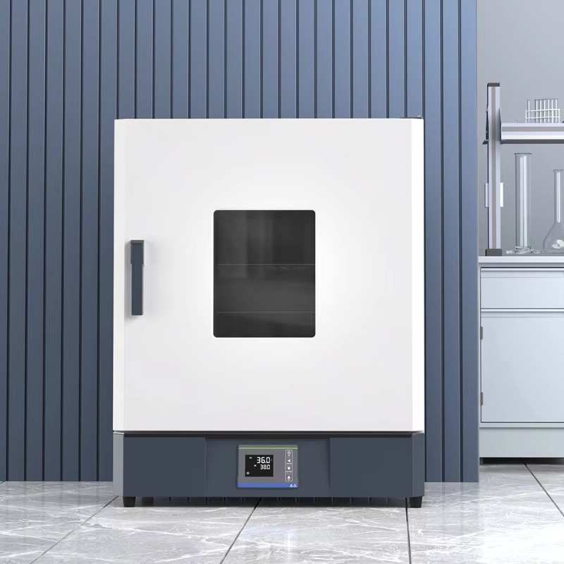 Tragbarer Labor-Inkubator mit  – Lab Incubator Bewertung und Preis